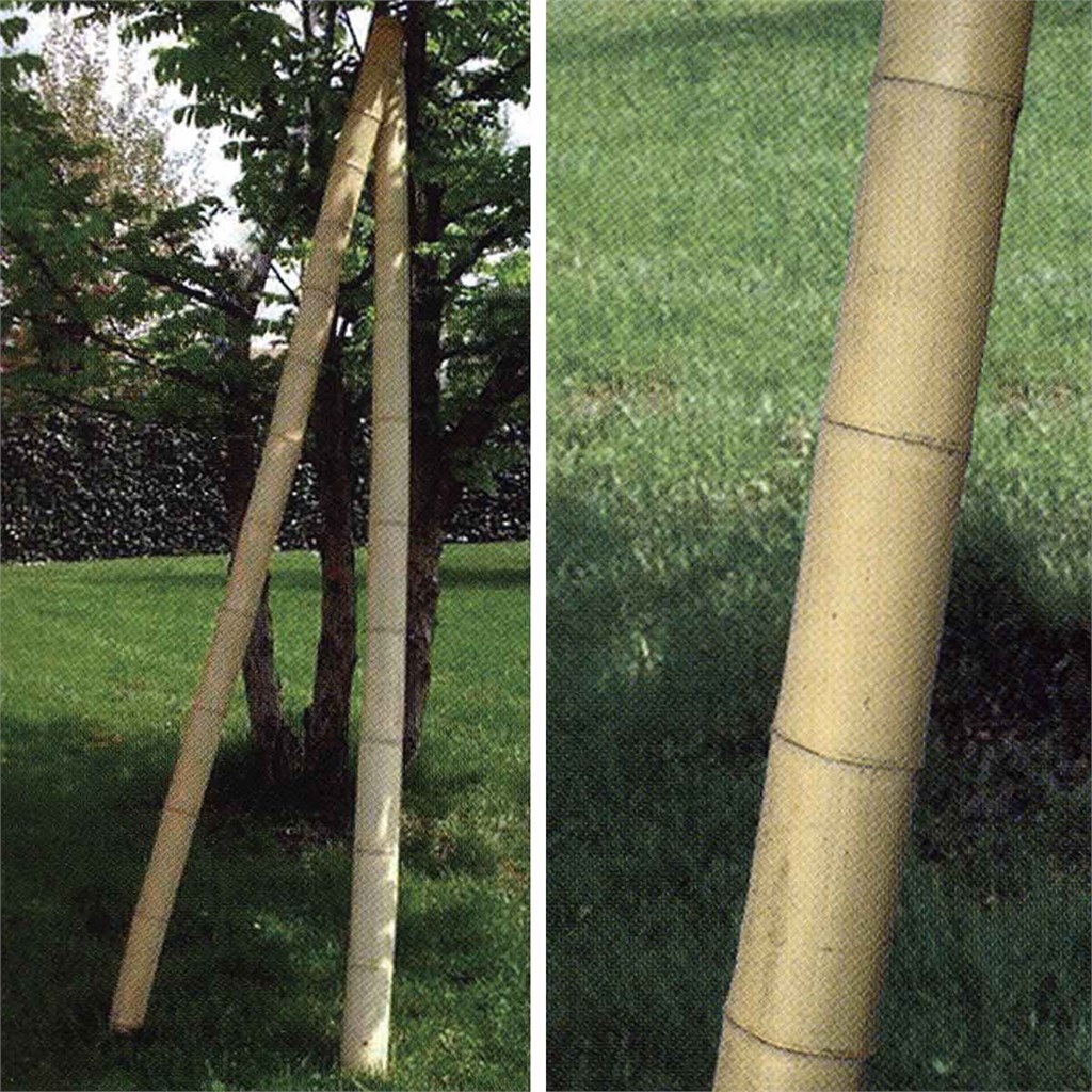 CANNE ORNAMENTALI IN BAMBOO Ø CM 8-10 - H CM 300